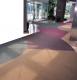 Indoors absorbent carpet mat